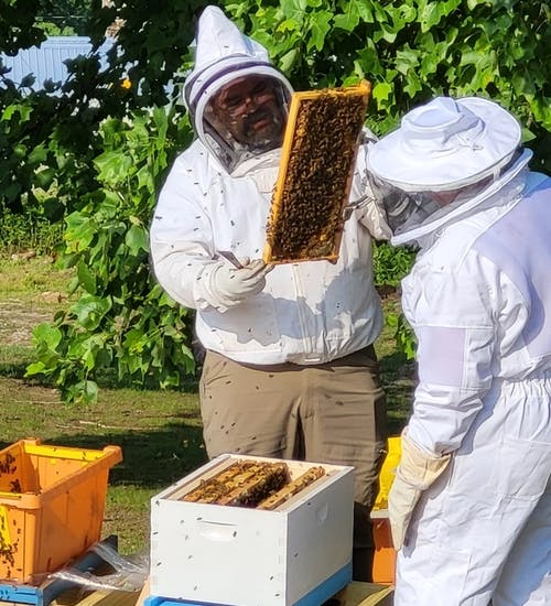 Two people in white bee keeping gear examining bee hives